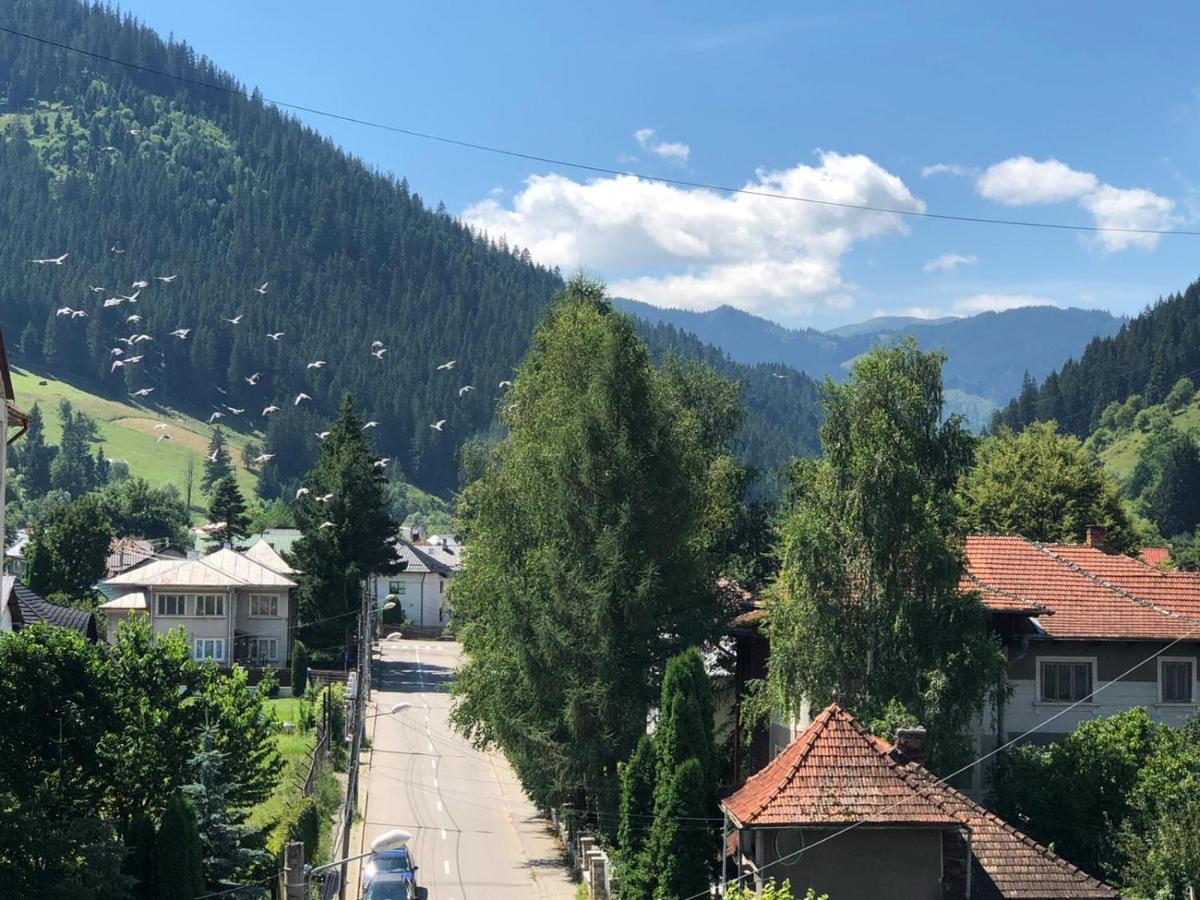 Bucovina View Apartment Câmpulung Moldovenesc Eksteriør bilde