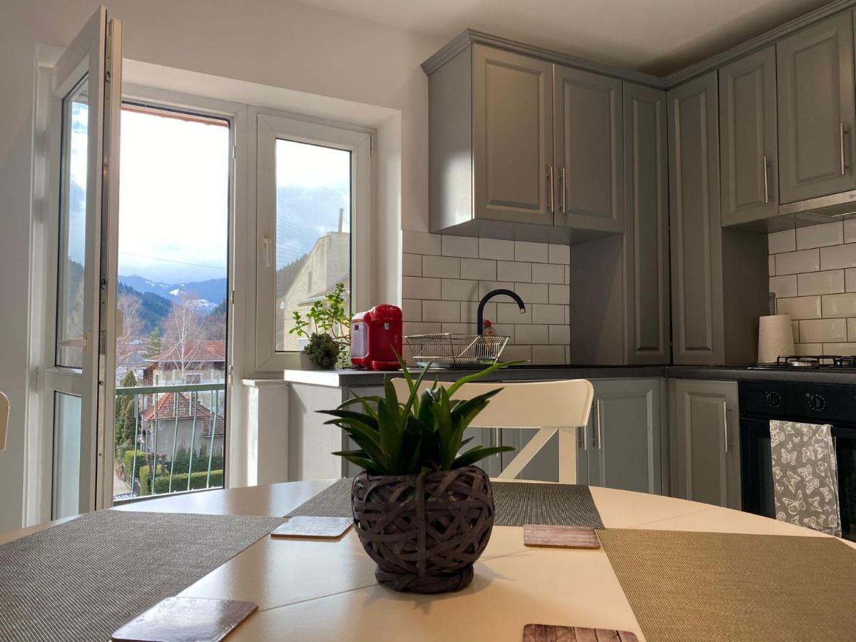 Bucovina View Apartment Câmpulung Moldovenesc Eksteriør bilde